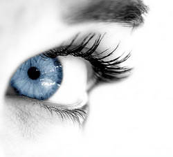 Экзистенциальный наблюдатель